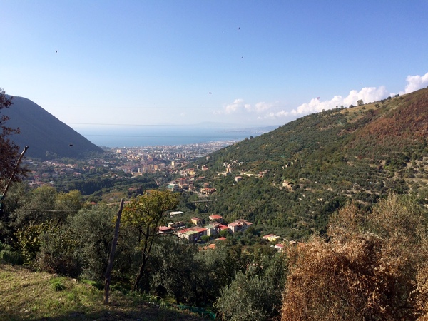 martusciello3.jpg