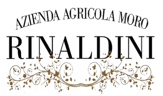 rinaldini-vini-azienda-agricola-moro-di-rinaldini-paola-sant-ilario-d-enza-reggio-emilia-emilia-.png